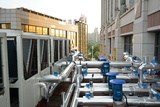 DSC00576.JPG